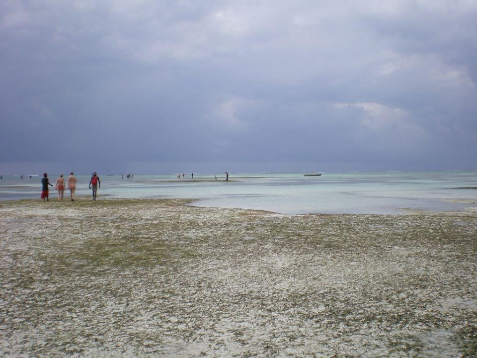 Ebbe am Strand Neptune Paradise Beach Resort & Spa