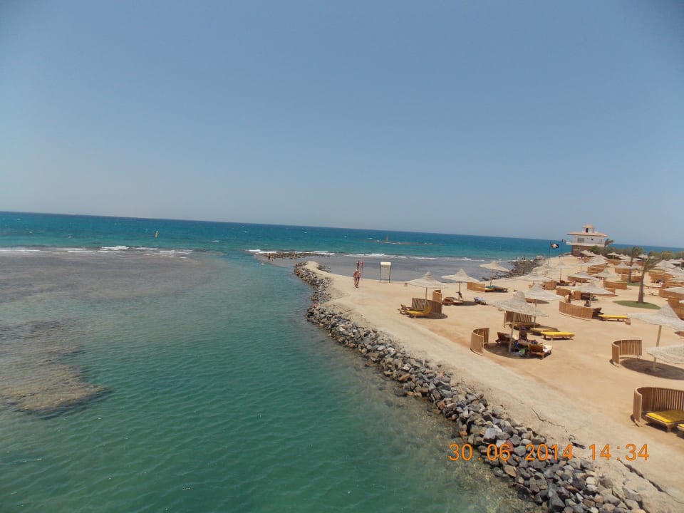 Вид сверху Desert Rose