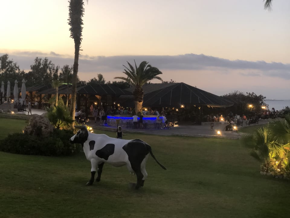 Gartenanlage Hotel Kalithea Horizon Royal