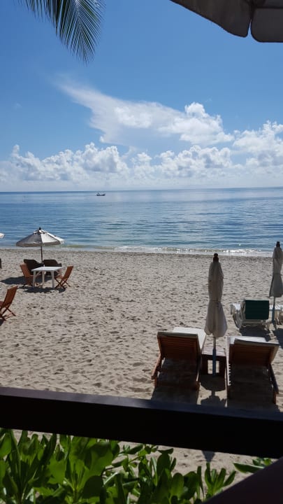 Der Blick vom Frühstückstisch Banana Fan Sea Resort