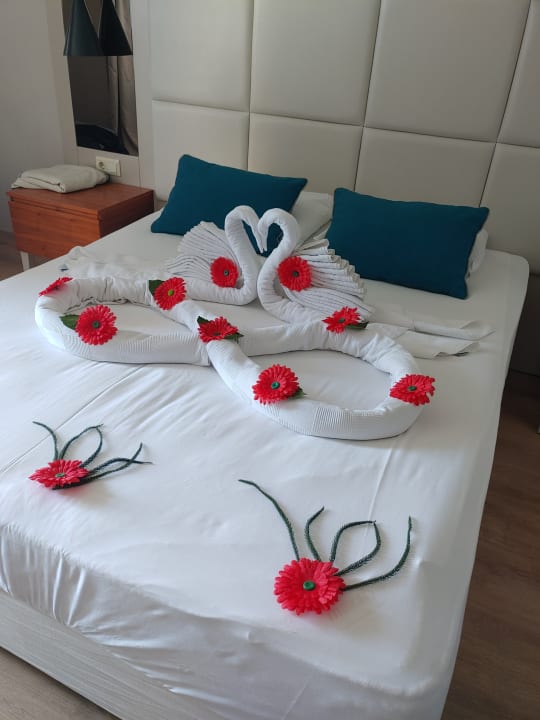 Zimmer Bella Resort & Spa