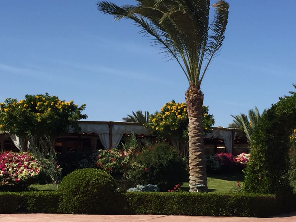 Gartenanlage Fantazia Resort Marsa Alam