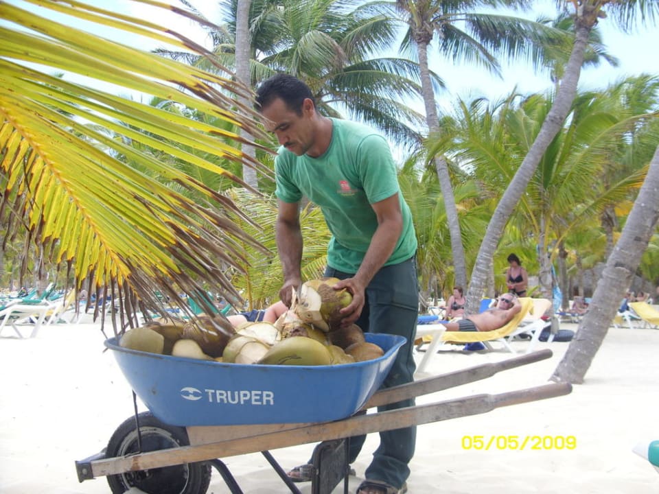 Coconut Hotel Riu Bambu