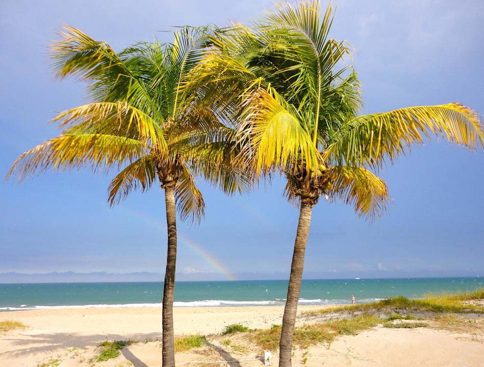 Blick vom Motel zum Strand Hotel Ebb Tide Resort
