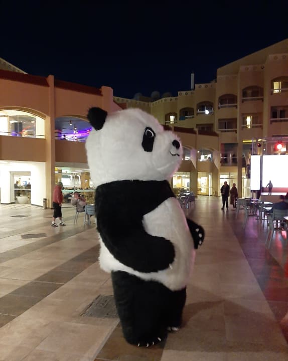 Sport & Freizeit Beach Albatros Resort