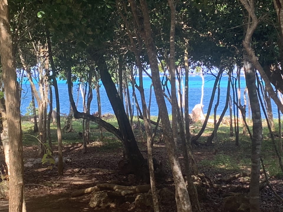 Gartenanlage Royal Service at Paradisus Río de Oro Resort & Spa