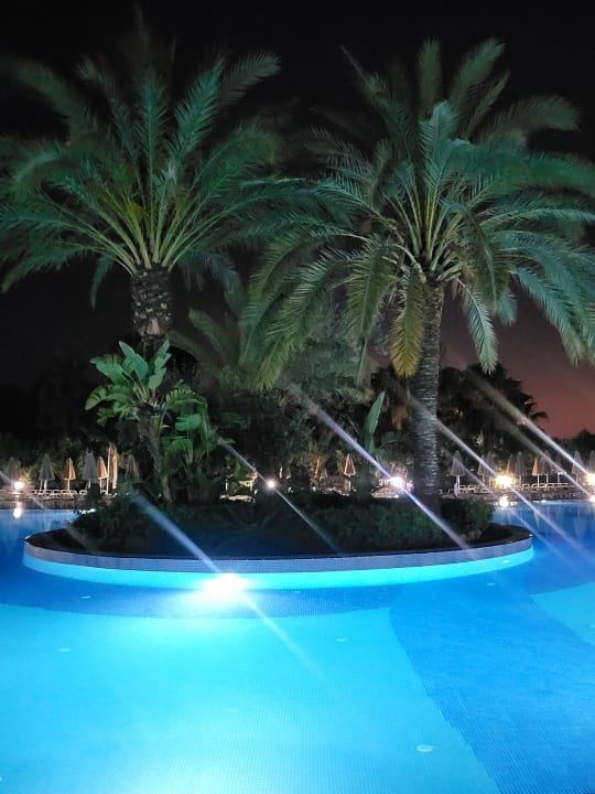 Pool Seaden Sea World Resort & Spa