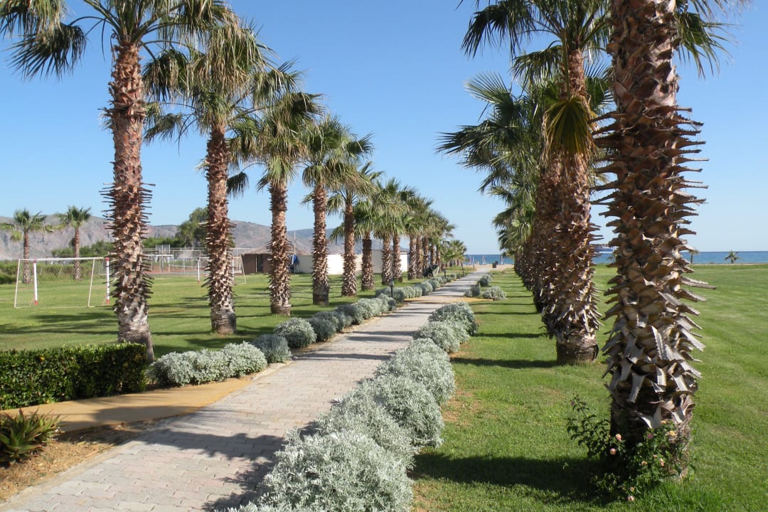 Weg zum Strand Delfina Tropic Beach