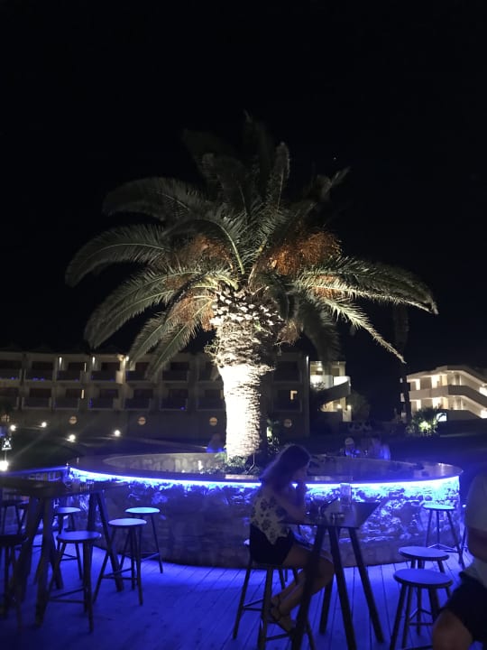 Gartenanlage Hotel Kalithea Horizon Royal