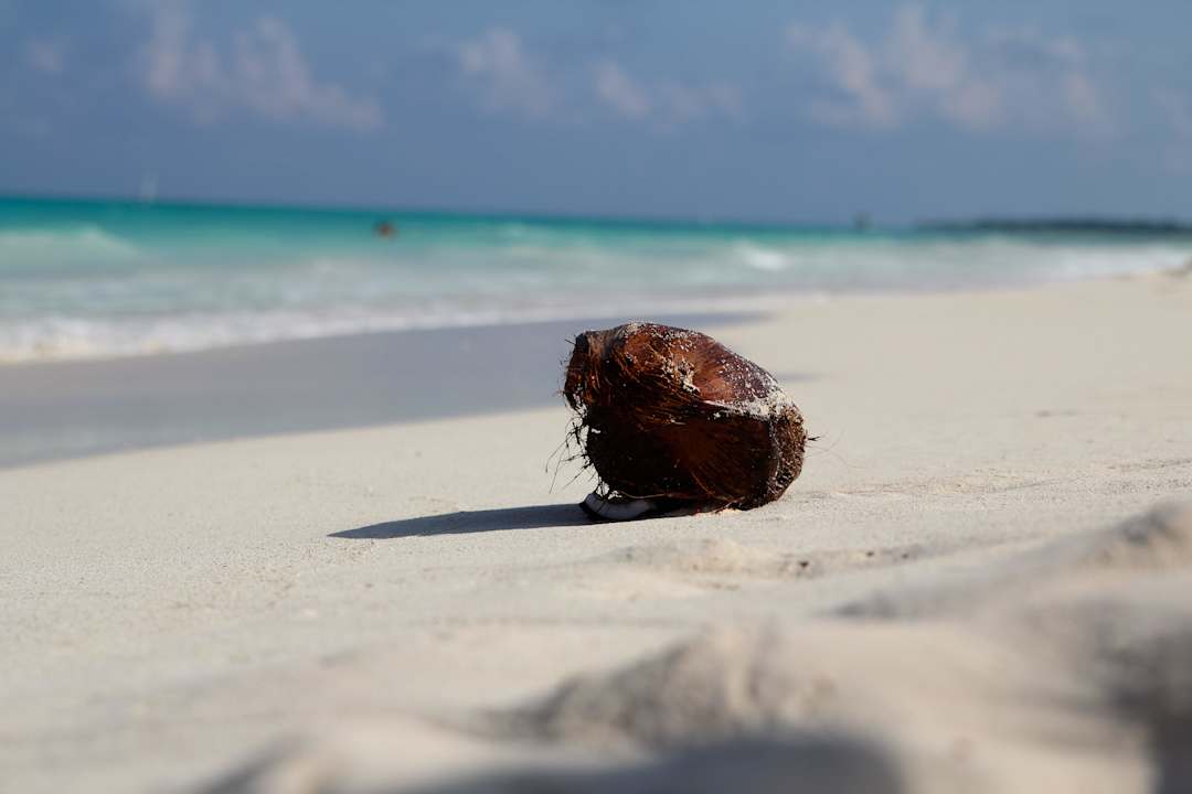 Sehr schön JOIA Paraiso by Iberostar