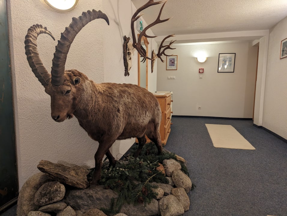 Sonstiges Alpengasthof Pension Praxmar