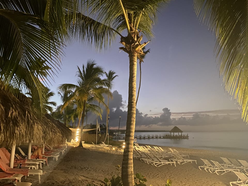 Strand Catalonia Royal La Romana - Adults only