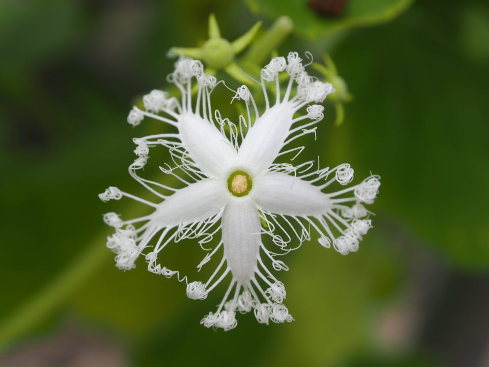 In Inselinneren unterwegs Adaaran Select Hudhuran Fushi - Premium All Inclusive