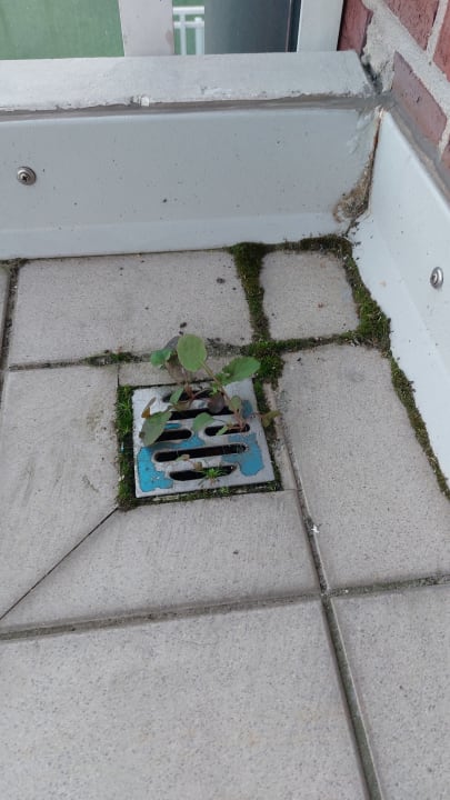 Zimmer Residenz Albatros