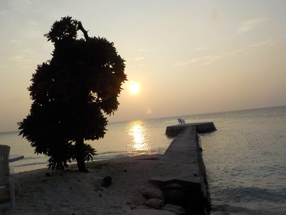 Strand Fihalhohi Maldives