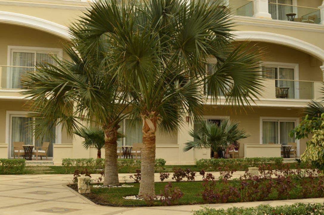 Hotel - gardens, exterior view Premier Le Reve Hotel & Spa