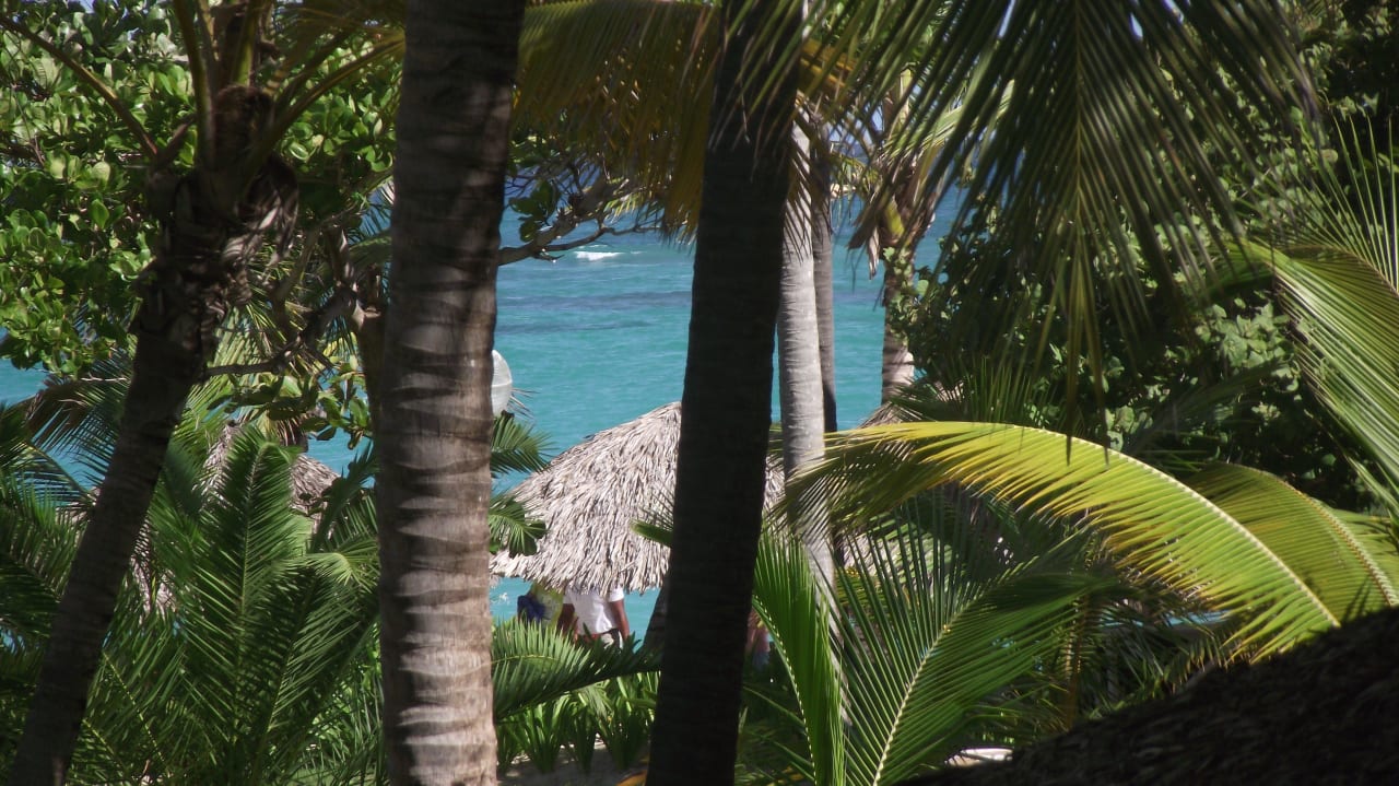 Sooooo schön, will wieder hin!! Grand Palladium Select Bávaro Resort & Spa