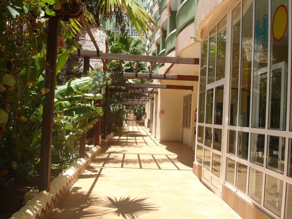 Zugang zum Animationspool Abora Buenaventura by Lopesan Hotels