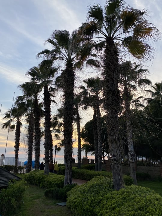 Gartenanlage Gardenia Hotel