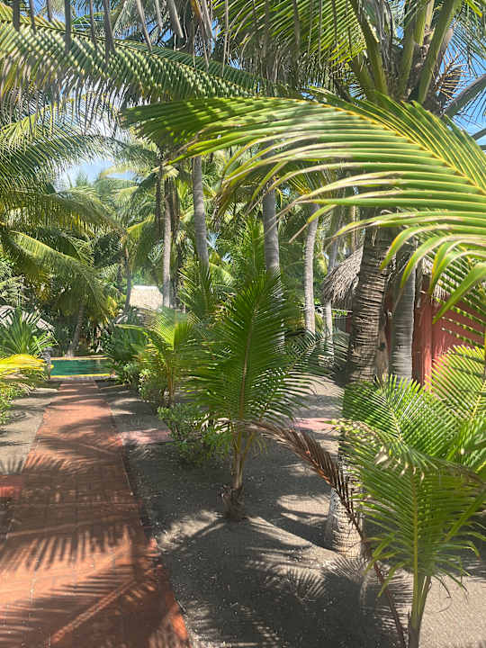 Gartenanlage Hotel Pez de Oro