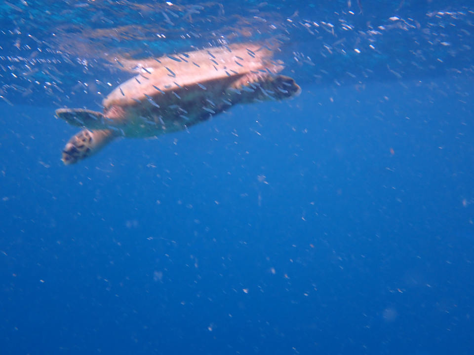 Sonstiges Kagi Maldives Resort & Spa