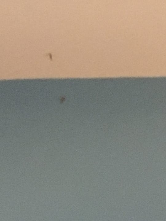 Zimmer The Green Park Resort