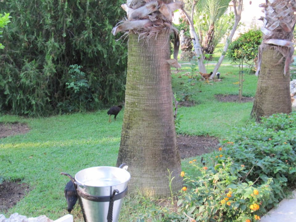 Relaxingzone Selge Beach Resort