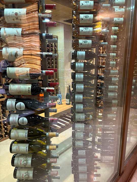 Gastro Papillon Ayscha