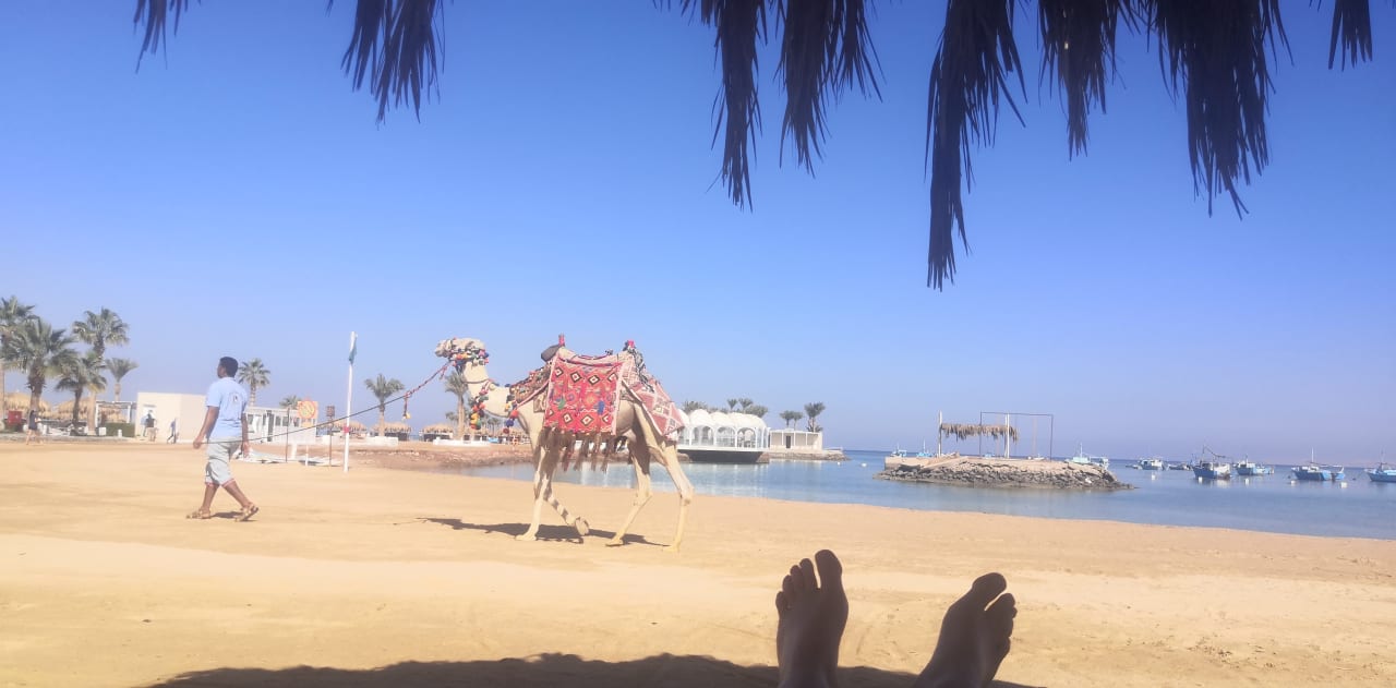 Strand Meraki Resort (Adults Only)