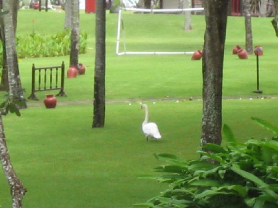 Garten InterContinental Bali Resort
