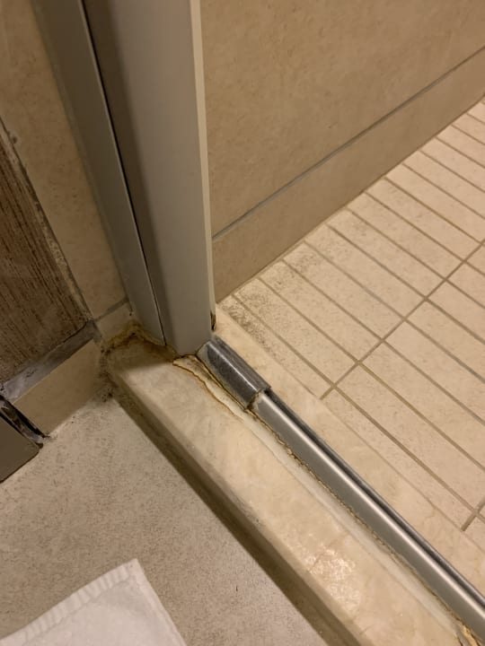 Zimmer Well Palace Side