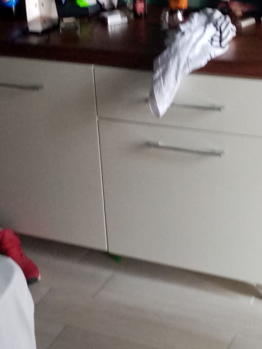 Zimmer Well Palace Side