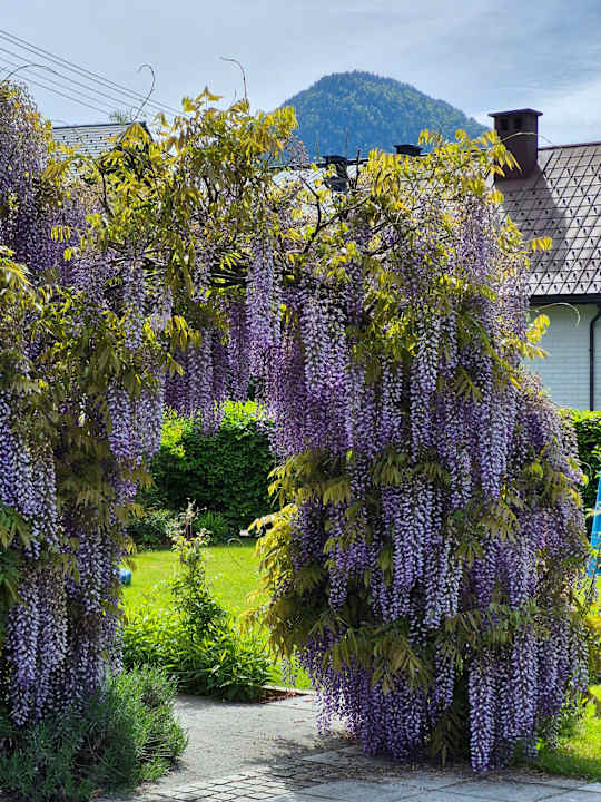 Sonstiges Hotel Seevilla