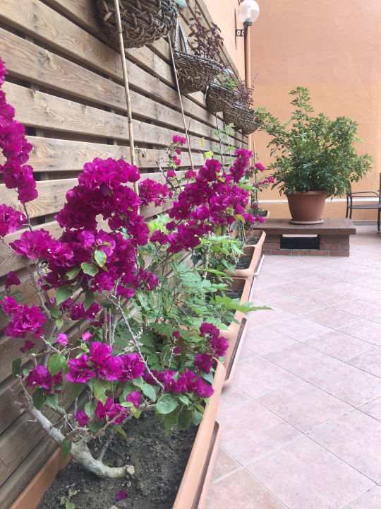 Lobby Club Turtas Beach Hotel