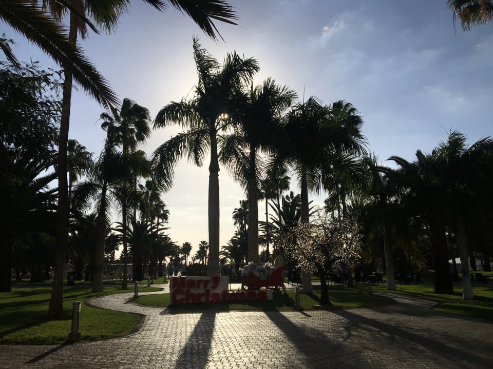 Gartenanlage Hotel Riu Gran Canaria