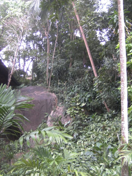 Februar 2016 The Fair House Beach Resort