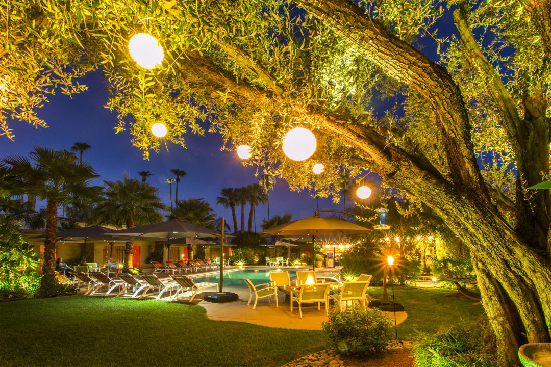 Gartenanlage Hotel Desert Riviera