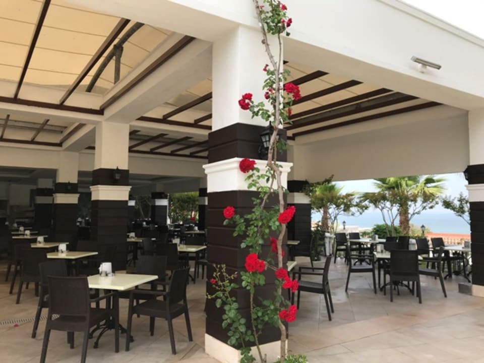 Gastro Alba Queen Hotel