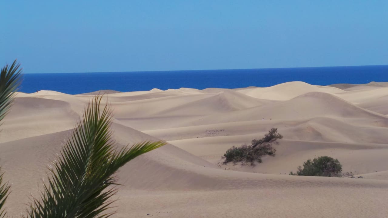 Wunderschöne Dünen Hotel Riu Palace Maspalomas Adults Only