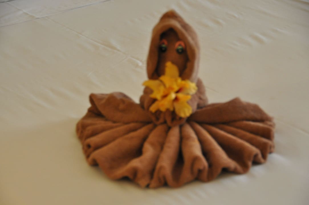 Und schon wieder anders Hotel Riu Tequila