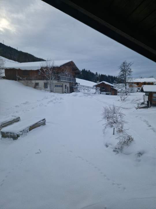 Ausblick Pension Wiesfleck
