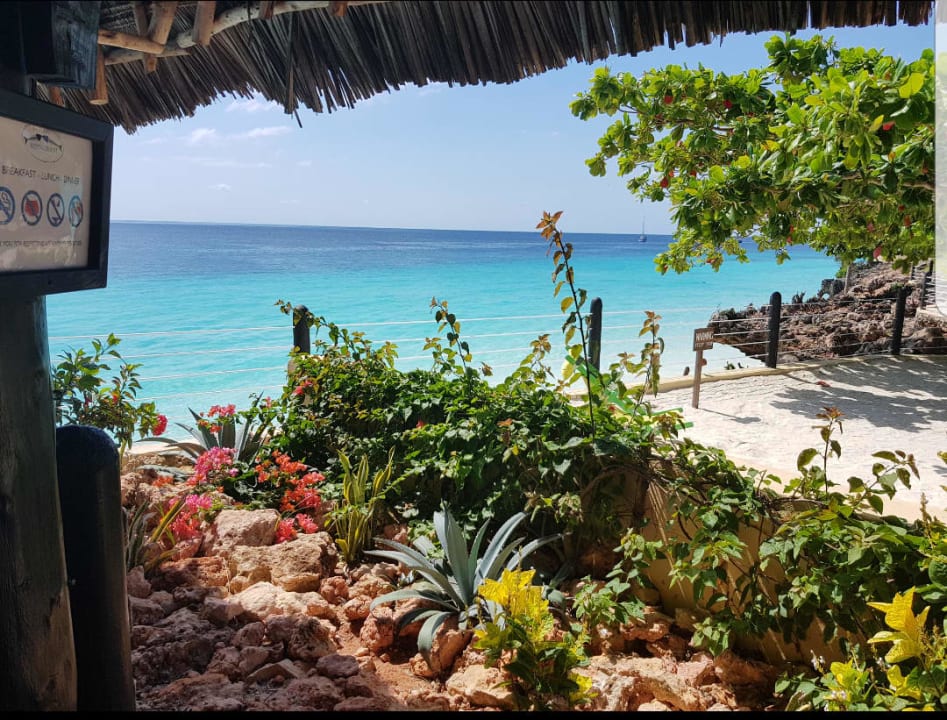 Ausblick Royal Zanzibar Beach Resort