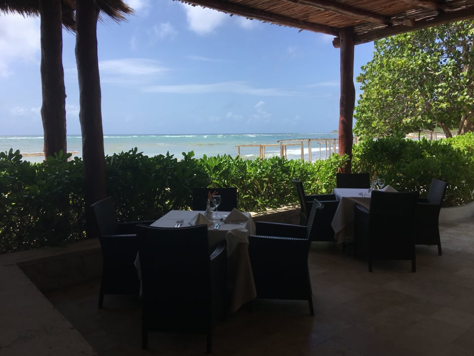 Gastro Akumal Bay Beach & Wellness Resort