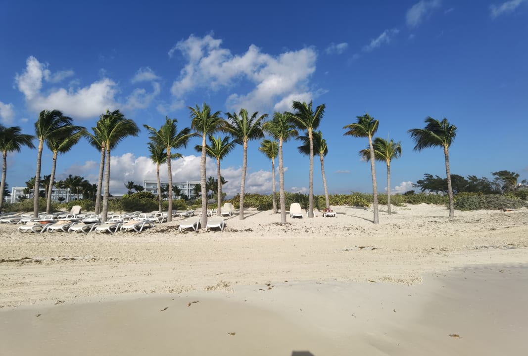 Strand Hotel Riu Dunamar