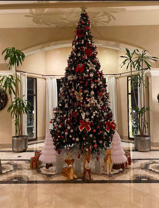 Lobby JAZ Aquamarine Resort