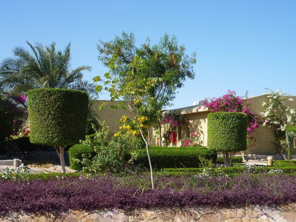 Gartenlandschaft Three Corners Fayrouz Plaza Beach Resort