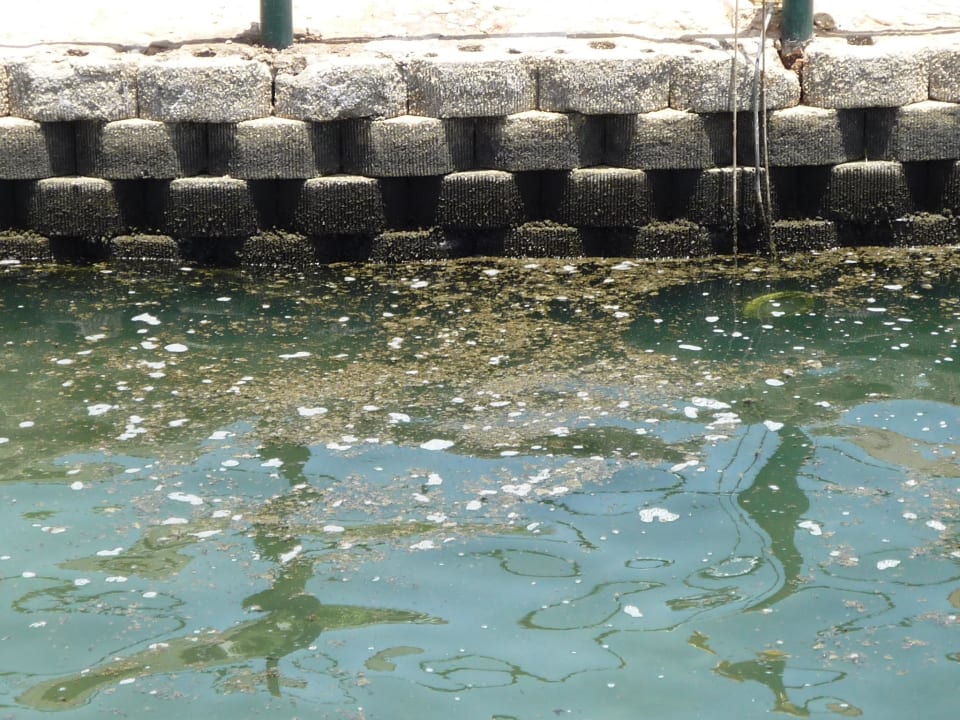 Meerwasserlagune mit Einlage Pickalbatros Dana Beach Resort - Hurghada
