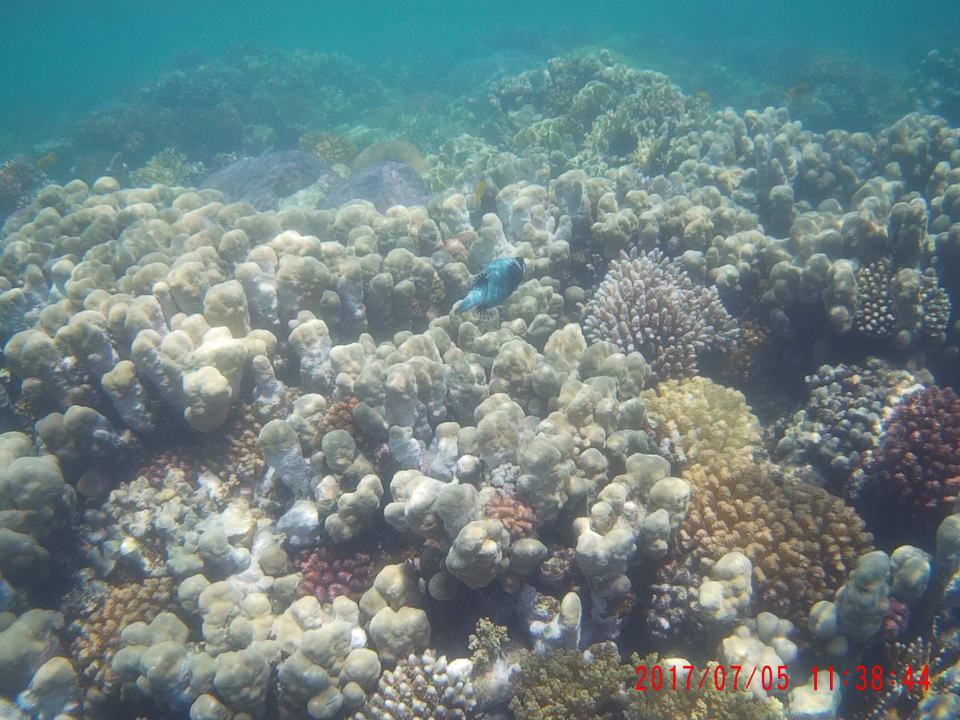 Sport & Freizeit Hotel Gorgonia Beach Resort