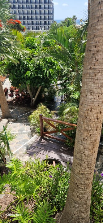 Gartenanlage allsun Hotel Lucana