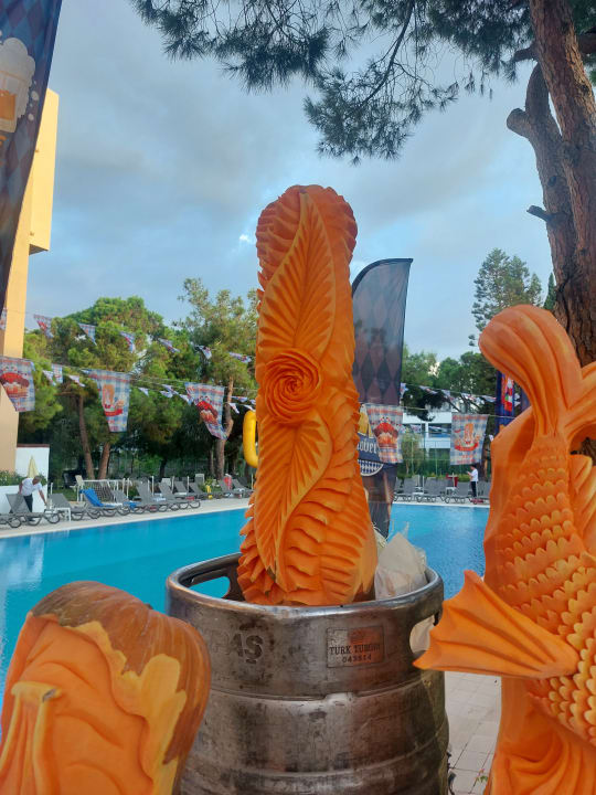 Pool Asteria Collection Side